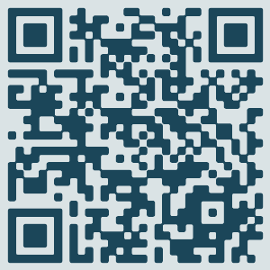 Pixel Party QR code